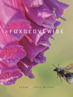 cover image of Foxglovewise